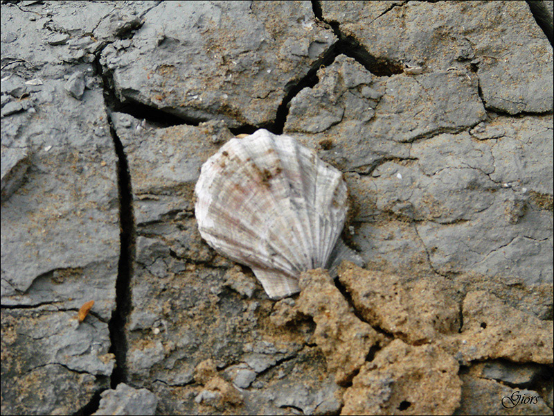 sito in distruzione